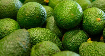 Pomeransmarmelad 400g - Pris 9 €