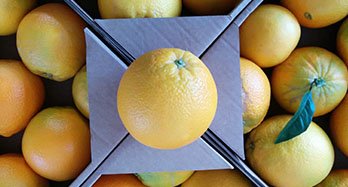 Anpassad box kg - Pris 50 €