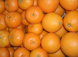 Köp låda med olika frukter - Valencia oranges and mandarins online