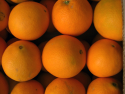 Köpa Apelsiner Online - Valencia oranges online