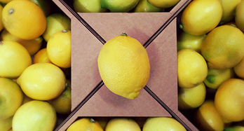 Citroner 10 Kg - Pris 37 €