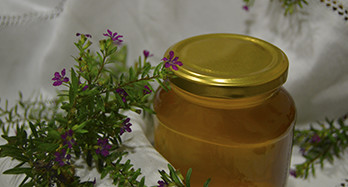 Timjan honung en Kg - Pris 16 €