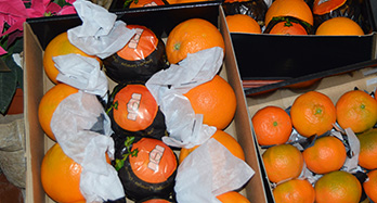 45 Apelsiner och 28 Mandarin Gourmet - Pris 60 €