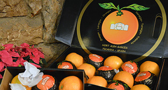 45 Gourmet apelsiner - Pris 47 €