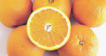 Apelsiner Valencia 15kg - Pris 44 €